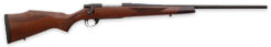 Weatherby Vanguard Sporter Bolt-Action Rifle Rental | 6.5-300 WBY Magnum | 26in