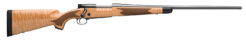 Winchester Model 70 Super Grade Bolt-Action Rifle Rental | 6.5 Creedmoor | 22in