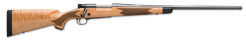 Winchester Model 70 Super Grade Bolt-Action Rifle Rental | 6.8 Western | 24in | Blued/Black