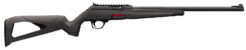 Winchester Wildcat Semi-Auto Rifle Rental | .22 LR | 18in