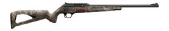 Winchester Wildcat Semi-Auto Rifle Rental | .22 LR | 18in | Blued/Black