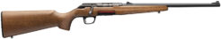 Winchester Xpert Sporter Rifle Rental | .22 LR | 18in